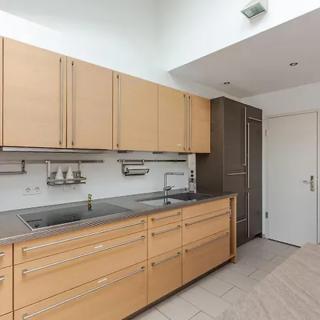 Apartmán 10-12 Personen - Luxus Penthouse Zentrum - Thomaskirche Lipsko